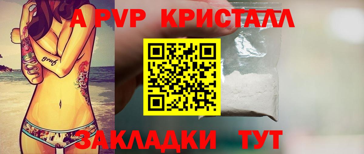 A PVP VHQ Курчалой