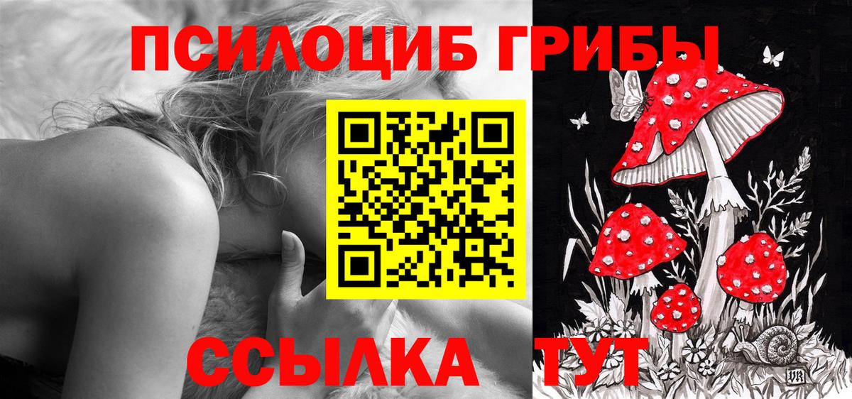 Курчалой  Галлюциногенные грибы Psilocybine cubensis  Вход с VPN  Псилоцибиновые грибы ЛСД 