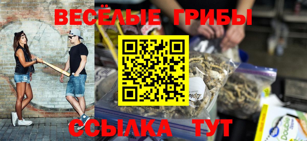 Галлюциногенные грибы MAGIC MUSHROOMS Курчалой